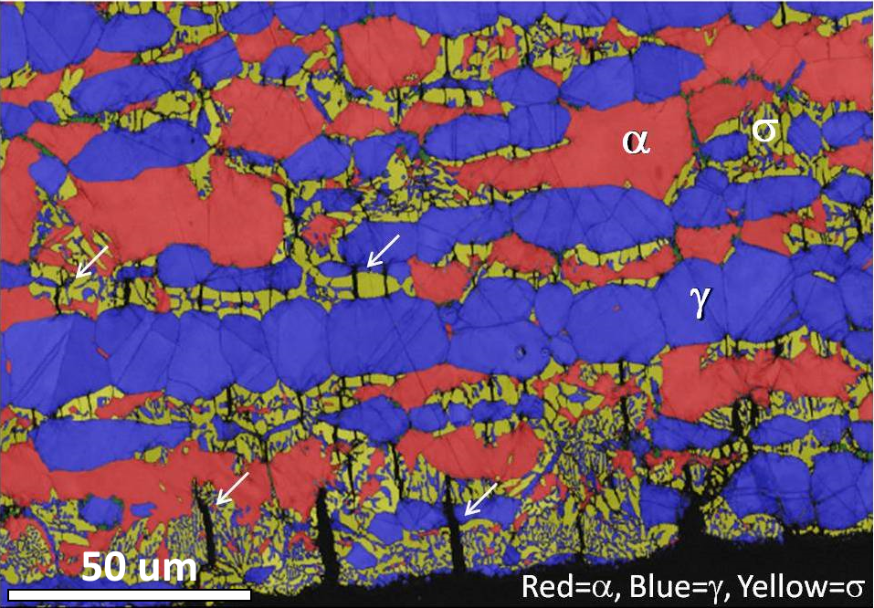 EBSD phase map of a super duplex stainless steel showing the initiation of stress corrosion cracking