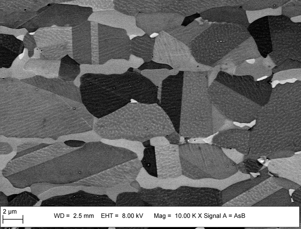 An ECCI from a rolled steel sample showing contrast variations between grains and twin domains