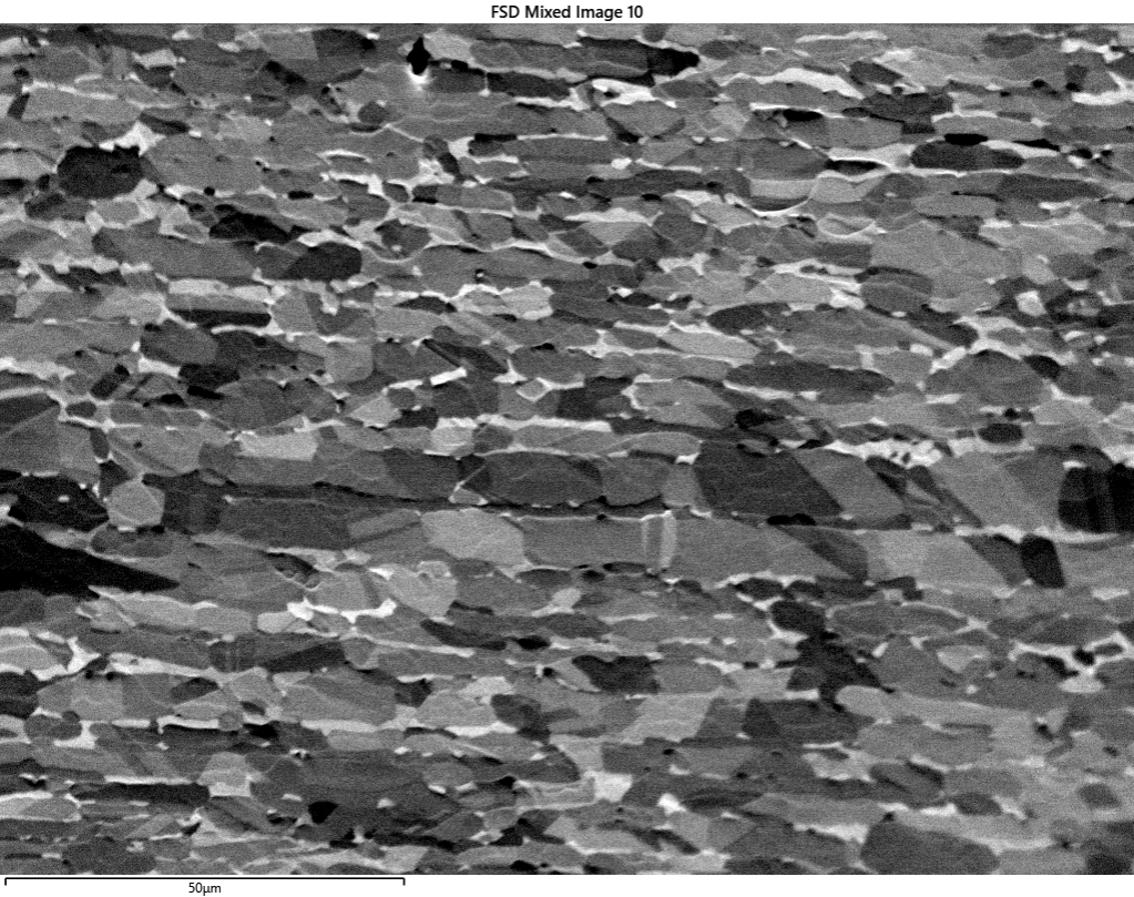 Forescatter electron image of an ion-polished steel collected at 10mm detector retraction, with dominant channelling contrast
