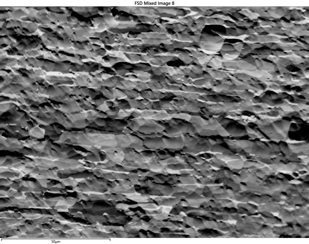 Forescatter electron image of an ion-polished steel collected at full detector insertion, with dominant topographic contrast