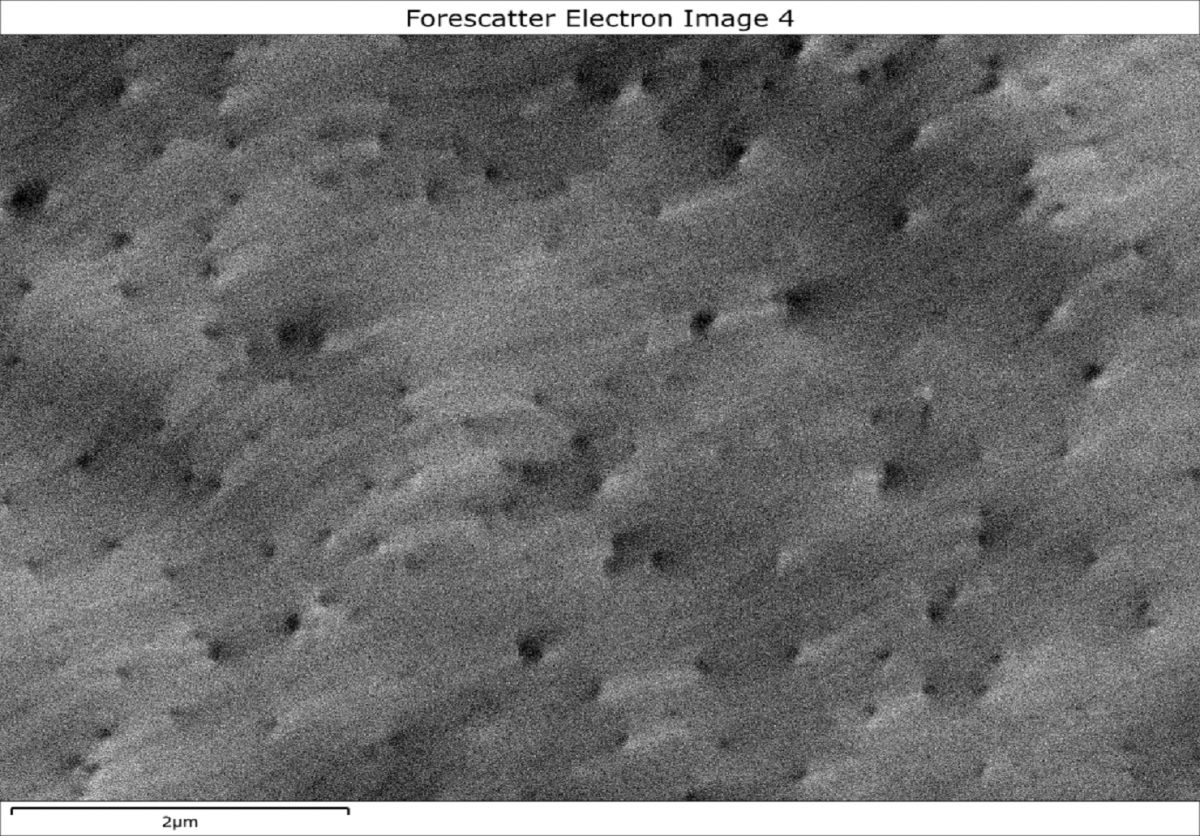 Electron channelling contrast image collected using forescatter detectors showing threading dislocations in a GaN thin film