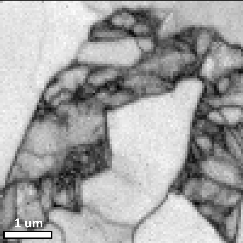 EBSD pattern quality map of martensitic steel collected at 10 kV accelerating voltage showing improved resolution