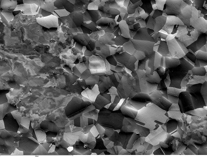 Orientation contrast or ECCI image collected from a Ni superalloy using forescatter detectors