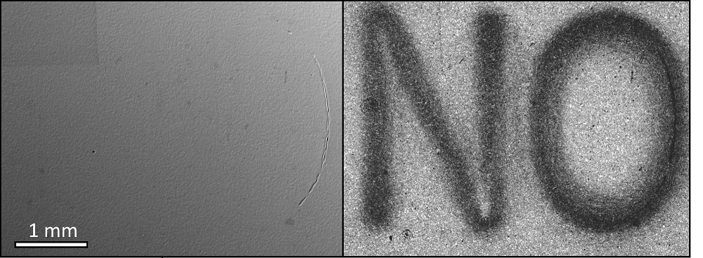 Images showing how an EBSD pattern quality map can reveal serial numbers that have been removed