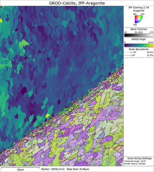 EBSD map showing the detailed structures across a calcite-aragonite interface in a common mussel shell