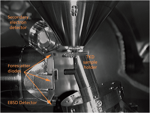 SEM chamberscope image showing the ideal geometry for off-axis transmission Kikuchi diffraction