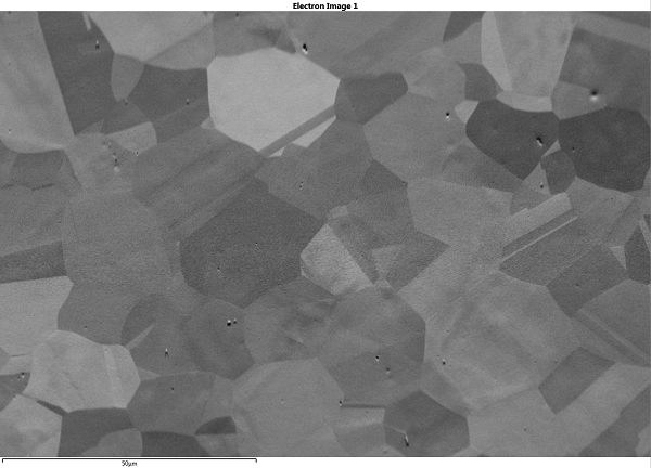 Forescatter electron image of a tilted sample with tilt correction but no dynamic focus