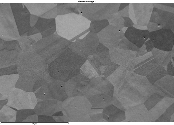 Forescatter electron image of a tilted sample with tilt correction but no dynamic focus Forescatter electron image of a tilted sample with tilt correction but no dynamic focus