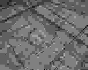 Optical image of a sample of nodular cast iron after the coarse grinding step